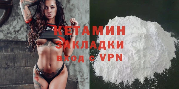шишки Абаза