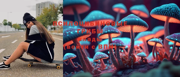 PSILOCYBIN Алексеевка