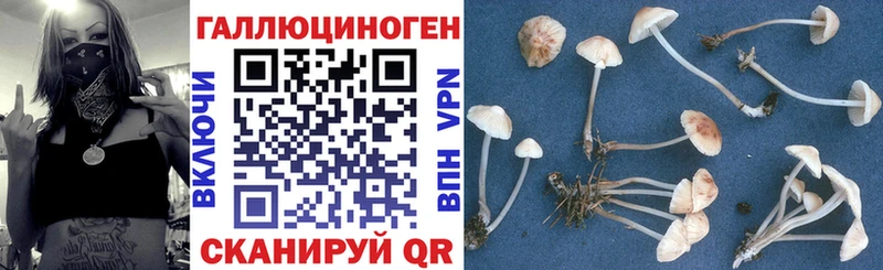 Псилоцибиновые грибы мухоморы  блэк спрут tor  Королёв 
